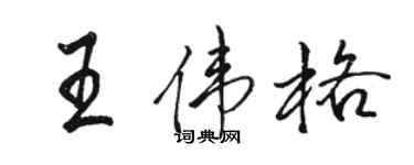 駱恆光王偉格行書個性簽名怎么寫