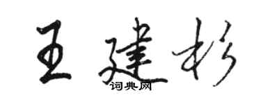 駱恆光王建杉行書個性簽名怎么寫