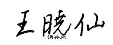 王正良王曉仙行書個性簽名怎么寫