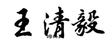 胡問遂王清毅行書個性簽名怎么寫