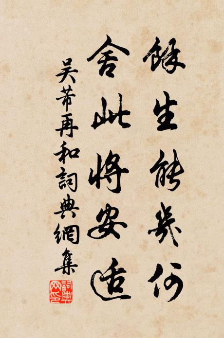 吳芾餘生能幾何,舍此將安適書法作品欣賞