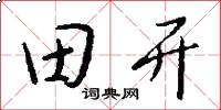 田開怎么寫好看