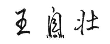 駱恆光王自壯行書個性簽名怎么寫