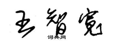 朱錫榮王智寬草書個性簽名怎么寫