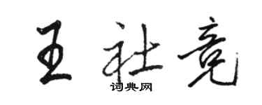駱恆光王社競行書個性簽名怎么寫