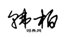 朱錫榮韓柏草書個性簽名怎么寫