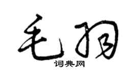曾慶福毛羽草書個性簽名怎么寫