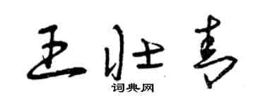 曾慶福王壯青草書個性簽名怎么寫