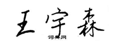 王正良王宇森行書個性簽名怎么寫