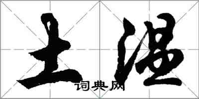 胡問遂土溫行書怎么寫