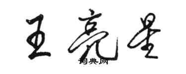 駱恆光王亮星行書個性簽名怎么寫