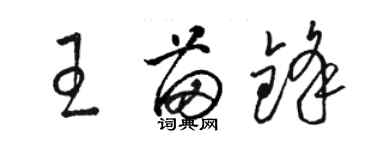 駱恆光王苗鋒草書個性簽名怎么寫