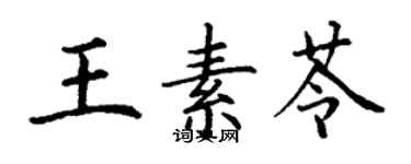 丁謙王素苓楷書個性簽名怎么寫