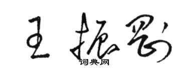 駱恆光王振剛草書個性簽名怎么寫