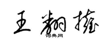 梁錦英王翻擁草書個性簽名怎么寫