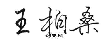 駱恆光王柏桑行書個性簽名怎么寫