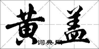 胡問遂黃蓋行書怎么寫