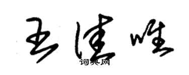 朱錫榮王佳唯草書個性簽名怎么寫