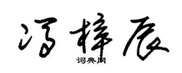 朱錫榮馮梓辰草書個性簽名怎么寫