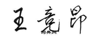 駱恆光王競昂行書個性簽名怎么寫