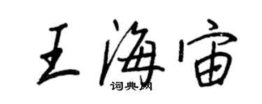 王正良王海宙行書個性簽名怎么寫