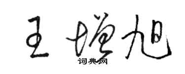 駱恆光王增旭草書個性簽名怎么寫