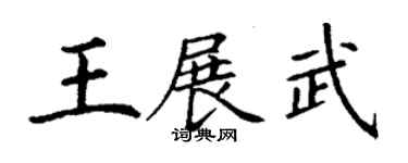丁謙王展武楷書個性簽名怎么寫