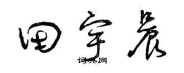 曾慶福田宇晨草書個性簽名怎么寫
