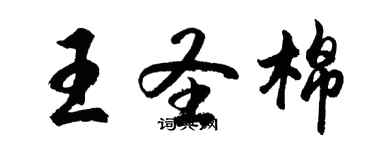 胡問遂王聖棉行書個性簽名怎么寫