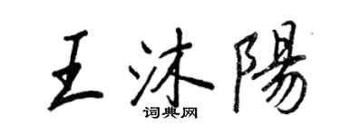 王正良王沐陽行書個性簽名怎么寫