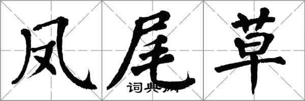 翁闓運鳳尾草楷書怎么寫