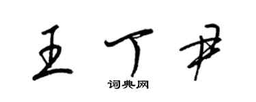 梁錦英王丁尹草書個性簽名怎么寫