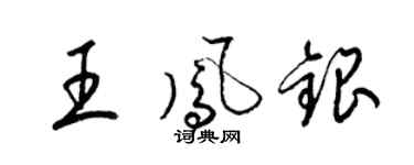 梁錦英王鳳銀草書個性簽名怎么寫