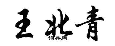 胡問遂王北青行書個性簽名怎么寫