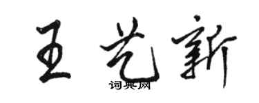 駱恆光王藝新行書個性簽名怎么寫