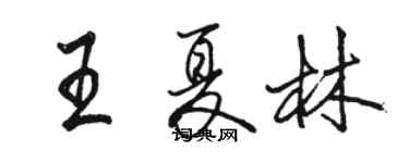 駱恆光王夏林行書個性簽名怎么寫