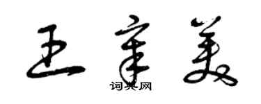 曾慶福王章美草書個性簽名怎么寫