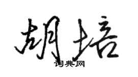 駱恆光胡培行書個性簽名怎么寫