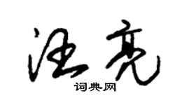 朱錫榮汪亮草書個性簽名怎么寫