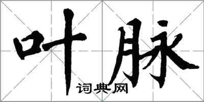 翁闓運葉脈楷書怎么寫