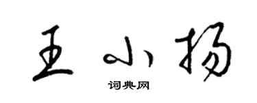 梁錦英王小揚草書個性簽名怎么寫