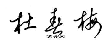 梁錦英杜春梅草書個性簽名怎么寫