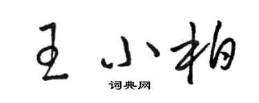 駱恆光王小柏草書個性簽名怎么寫