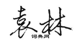 駱恆光袁林行書個性簽名怎么寫