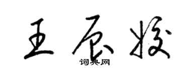 梁錦英王辰姣草書個性簽名怎么寫