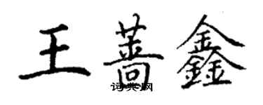 丁謙王薔鑫楷書個性簽名怎么寫