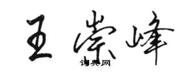 駱恆光王崇峰行書個性簽名怎么寫