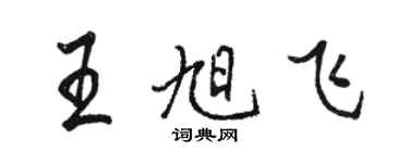 駱恆光王旭飛行書個性簽名怎么寫