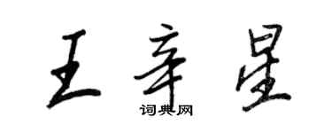 王正良王辛星行書個性簽名怎么寫