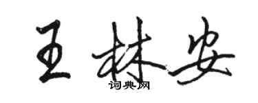 駱恆光王林安行書個性簽名怎么寫